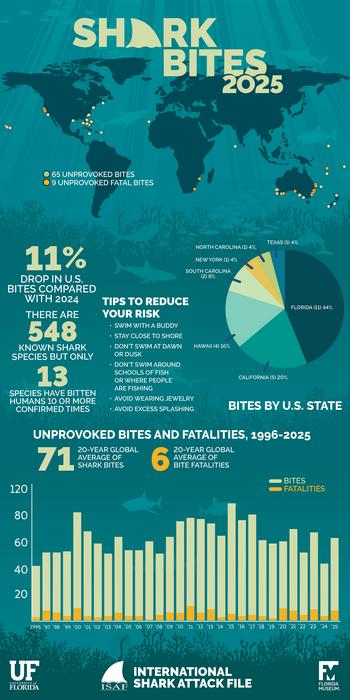 Infographic