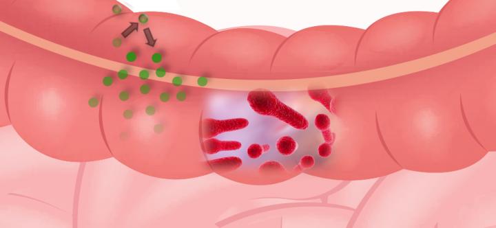 Graphical Abstract