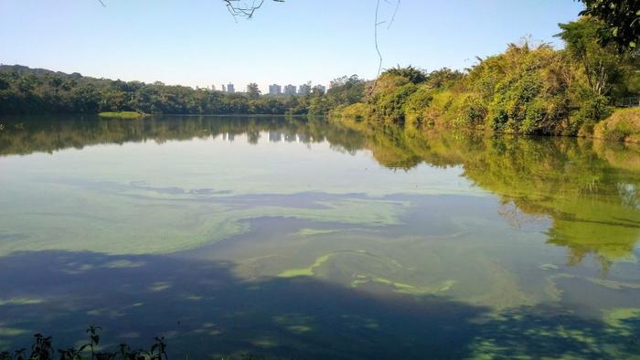 Study reconstructs a century of pollution in the city of São Paulo (Brazil) using aquatic sediments