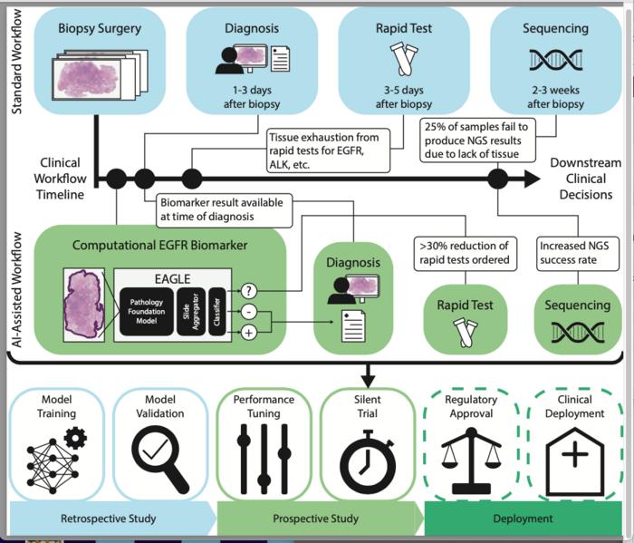Study Shows How AI Could Help Pathologists Match Cancer Patients to the Right Treatments—Faster and More Efficiently