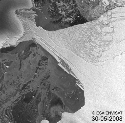 The Break-up of Wilkins Ice Shelf