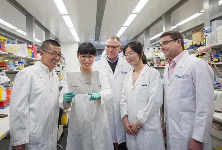 Myeloma Researchers