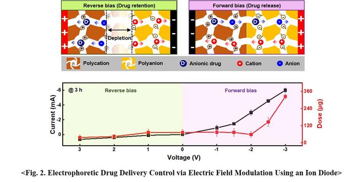 Figure 2. Electrophoretic Drug Delivery System via Electric Field Modulation Using an Ion Diode