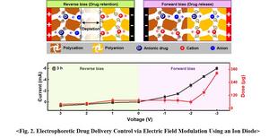 Figure 2. Electrophoretic Drug Delivery System via Electric Field Modulation Using an Ion Diode