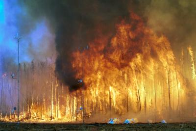 Gene-altering Compounds Released from Forest Fires