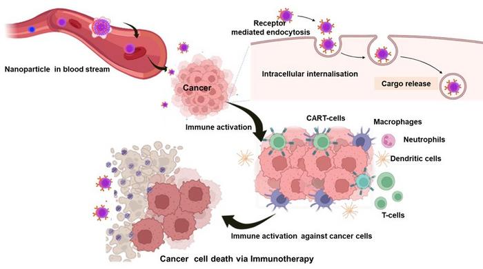 Schematic illustration of the mechanistic action of nanoparticles loaded immune agents for cancer immunotherapy (created with biorender.com)