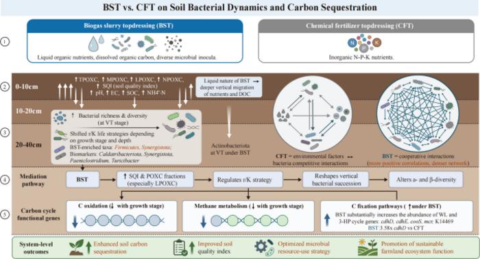 Resource recycling through biogas slurry topdressing reorganizes spatiotemporal dynamics of soil bacteria and carbon sequestration pathways