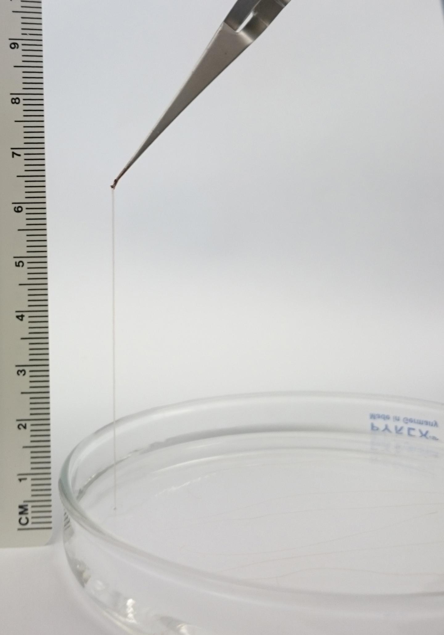 Nanoscale Multi-Domain Peptide Fibers