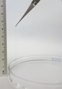 Nanoscale Multi-Domain Peptide Fibers