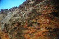 Crab Rock