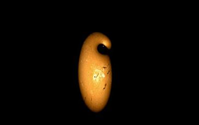 Small Planet, Small Star (1 of 2)