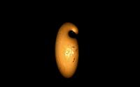 Small Planet, Small Star (1 of 2)