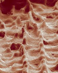 Rough Surface