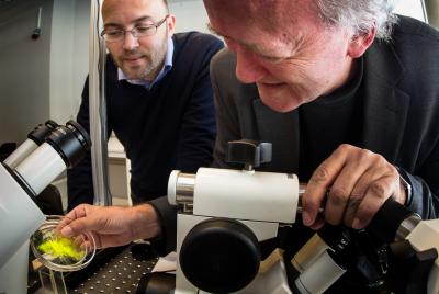 Research Collaboration Leads to Patchy Capsules