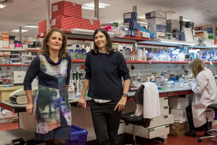 Paula Martí­nez (left) y Maria A. Blasco (right), Main Authors of the Research