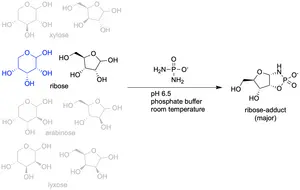 Where did RNA come from?