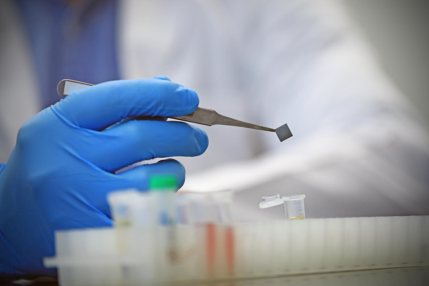 Zika Virus Test