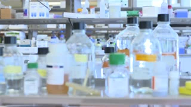 Science That Takes Risks: Biomedical Researchers Receive Pew Awards