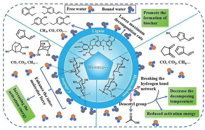 Effect of initial water content on the pyrolysis mechanism of lignocellulosic biomass