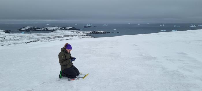 Young intrepid researcher uncovers hidden diversity in snow and glacier ecosystems across remote Antarctic island