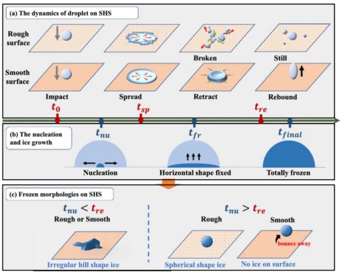 Diagram of the impact-freezing model of  supercooled water droplet for superhydrophobic surface