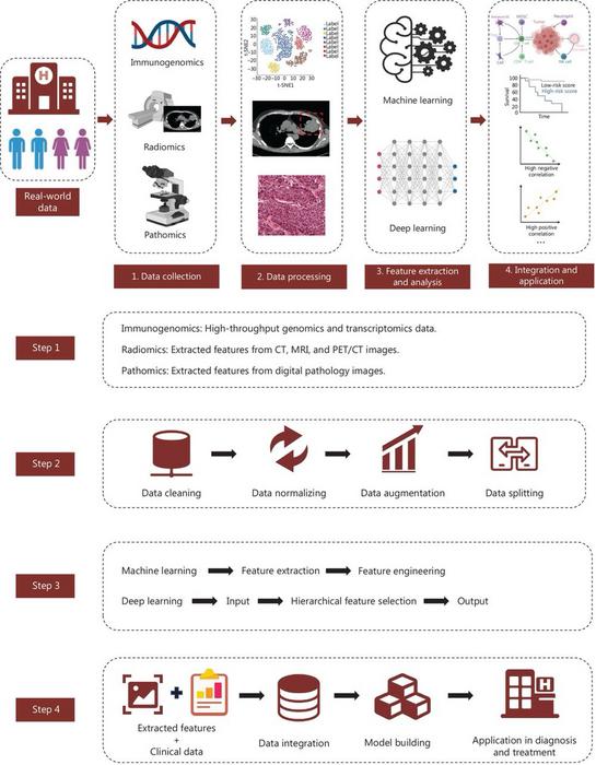 Four main steps in applying artificial intelligence to analysis of immunogenomics, radiomics, and pathomics data regarding the tumor immune microenvironment.