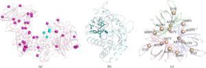 Fig. 2  Representative applications of evolution-guided atomistic design.