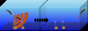 New acoustic study reveals deep-diving behavior of elusive beaked whales