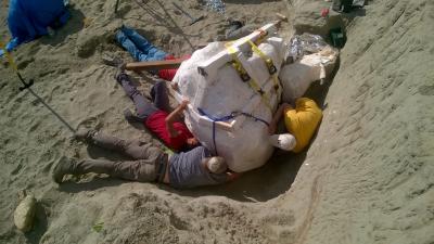 Fossil Excavation (1 of 2)