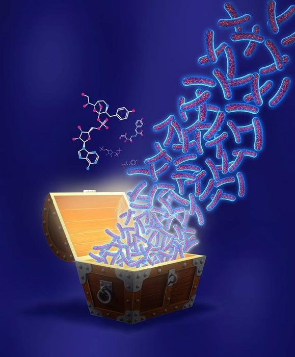 Engineering New Metabolic Pathways that Function Across Microbial Kingdoms