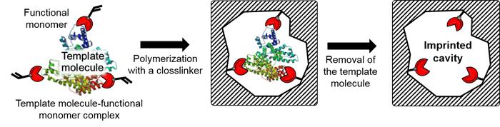 Highly Sensitive Method to Detect Potential Cancer Biomarker (1)