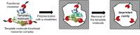 Highly Sensitive Method to Detect Potential Cancer Biomarker (1)