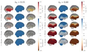 Amyloid Porous Brain