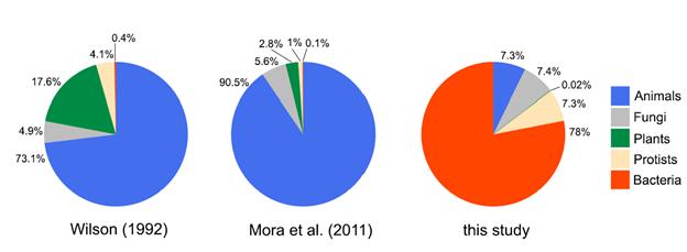 Traditional and New Estimates of the Pie of Life