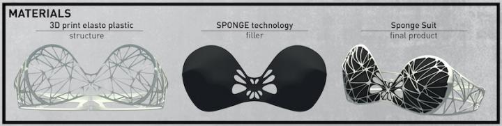 Illustration Showing Components of the Swimsuit