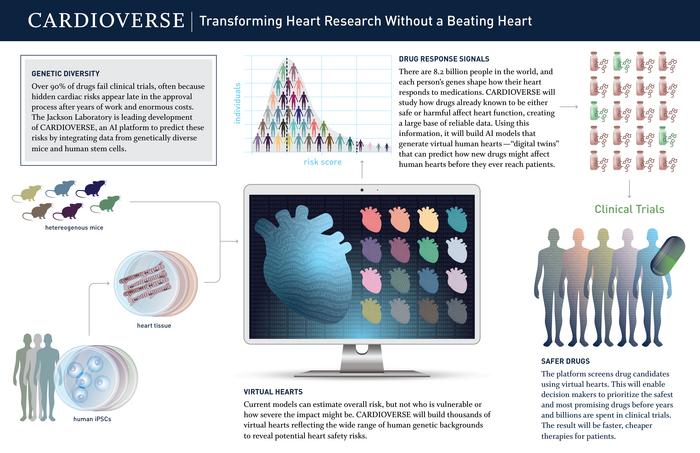 CARDIOVERSE INFOGRAPHIC