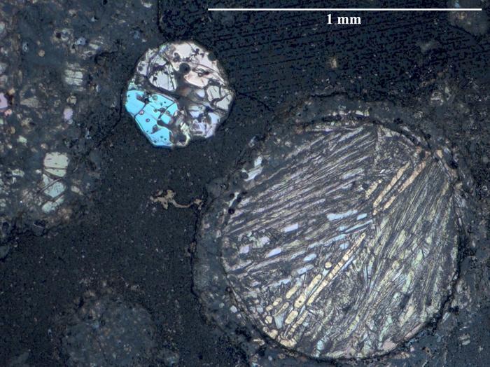 Reflected light image of a thin section of carbonaceous chondrite CV3 from NASA's Antarctic collection, analyzed in the study. Several chondrules with bright olivine crystals embedded in a carbonaceous matrix can be seen