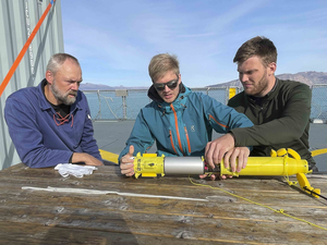 PBC_inspection of probe