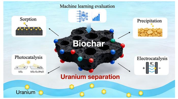 Highly selective separation of uranium by biochar-based porous materials through sorption, precipitation, photocatalysis, and electrocatalysis strategies