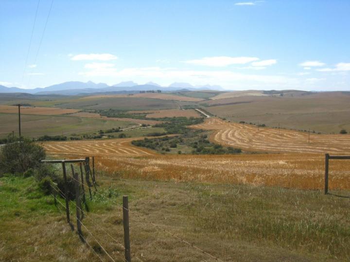 Expansion of Agricultural Land Reduces CO2 Absorption