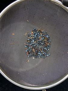 Bio-beads collected near Truro, Cornwall