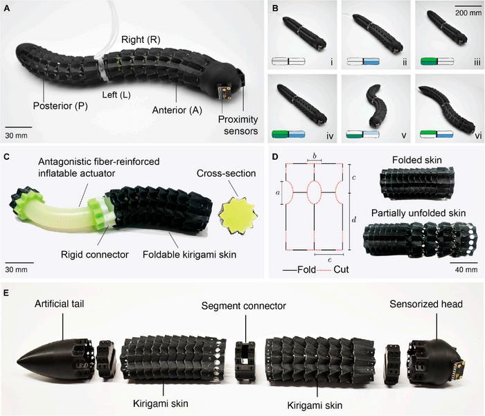 Multimodal crawling robot with kirigami skin.