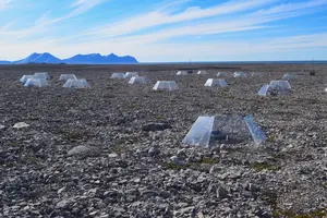OTC experiment with microclimate loggers. From “Lichen bleaching as a response to long-term experimental warming in the High Arctic” by Šubrt, J (2026).