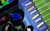 Biomolecular Sensing Using MOSFET
