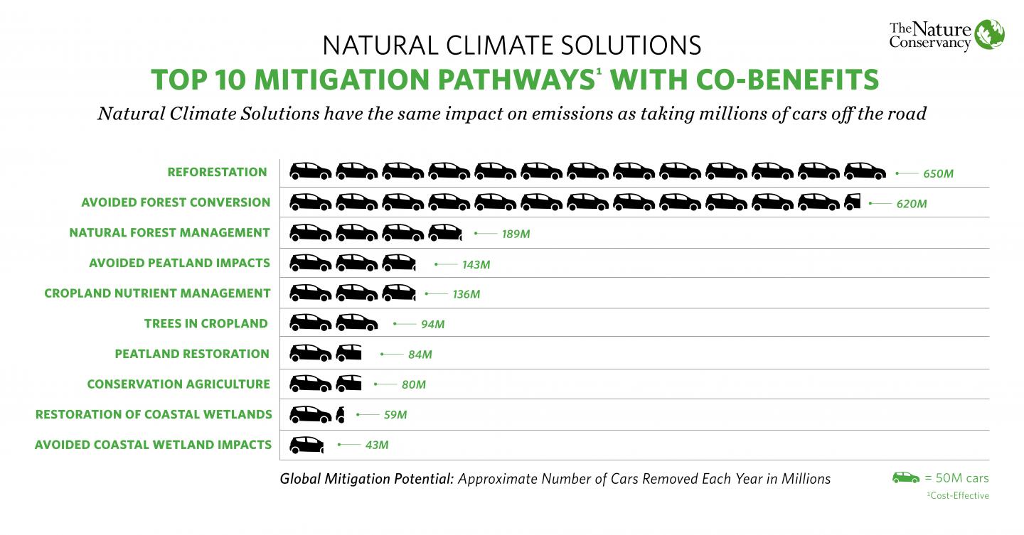 Top 10 Mitigation Pathways with Co-benefits