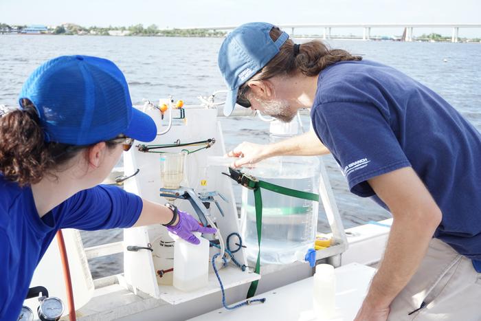 Florida Atlantic University scientists from the Florida Center for Coastal and Human Health collecting water samples from the Indian River Lagoon 2