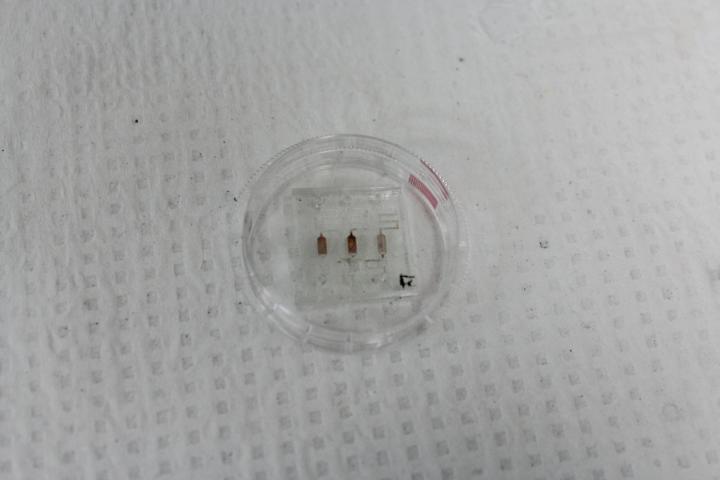 Nano-sized Traps Show Promise in Diagnosing Pathogenic Bacterial Infections