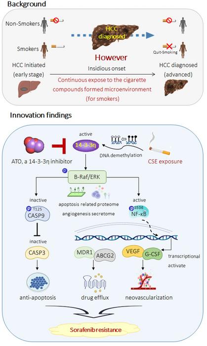 Cigarette smoke promotes sorafenib resistance in HCC via 14-3-3η