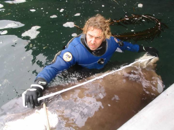 Measuring the New Species