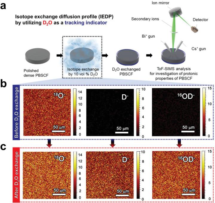 D2O for the ToF-SIMS measurement.